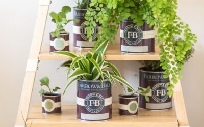 La resa delle vernici Farrow & Ball
