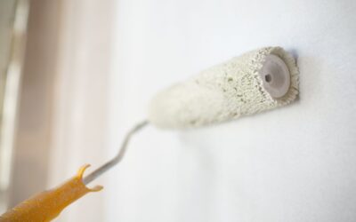 Muffa sui muri, come contrastarla e prevenirla
